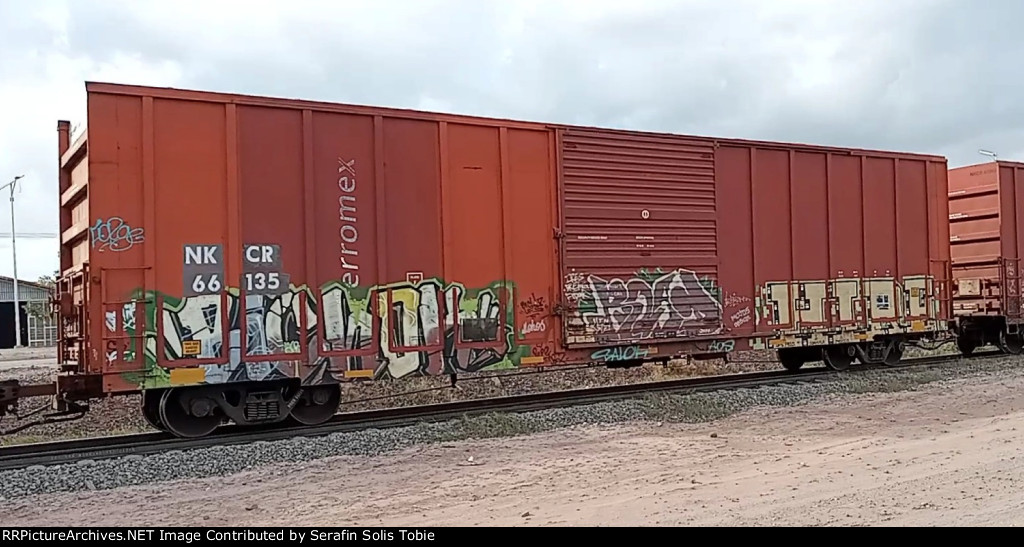 NKCR 66135 Rotulado Ferromex Con Grafiti